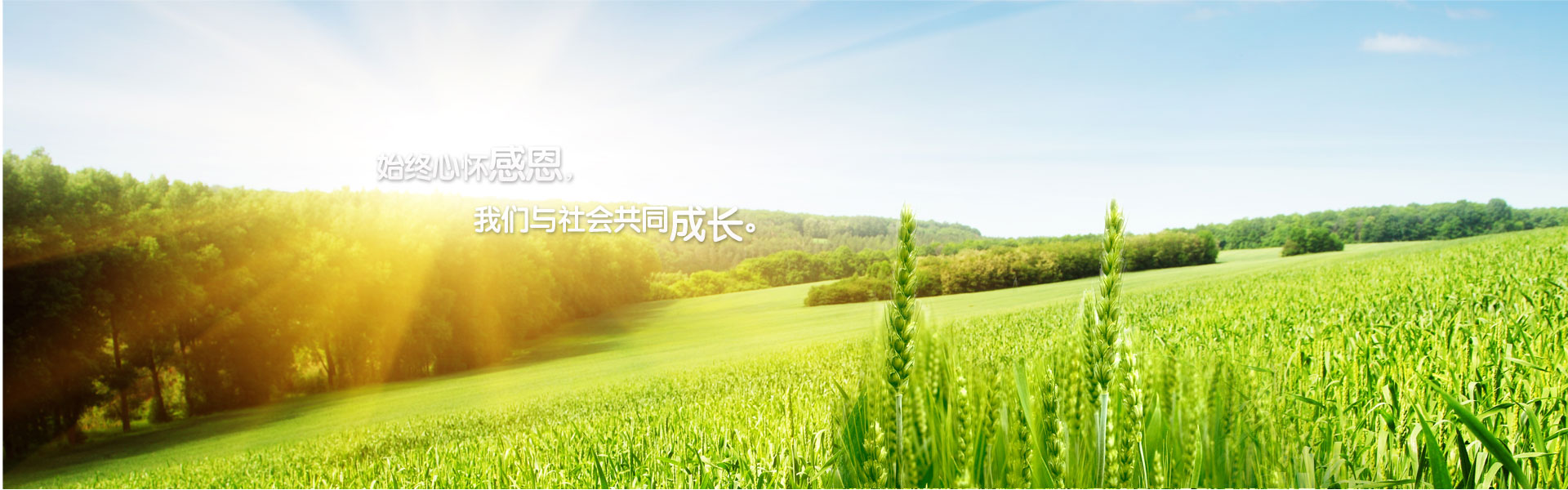 火狐体育官网登录